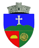 Comuna Padina - Buzau